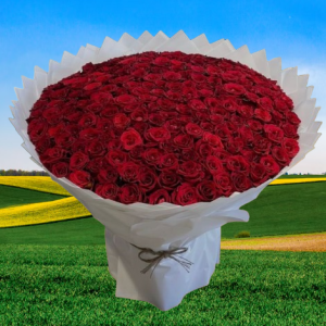 200 red rose bouquet