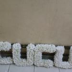 Wreath cucu