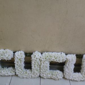Wreath cucu