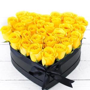 Pet Yellow Hat Box