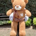 Teddy bear