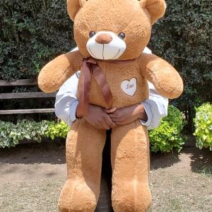 Teddy bear