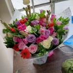 Plush and lilies