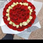 Red roses flower