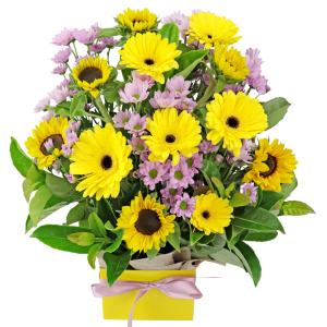 Brighter Days Flower Box