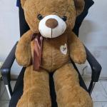 Teddy bear
