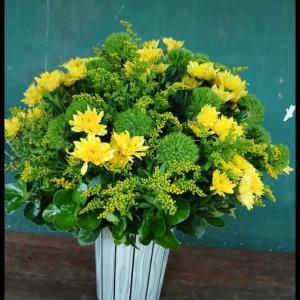 Yellow and lemon green flower