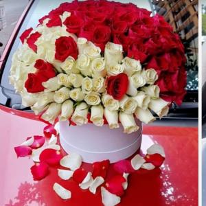 Havana Red and White Box
