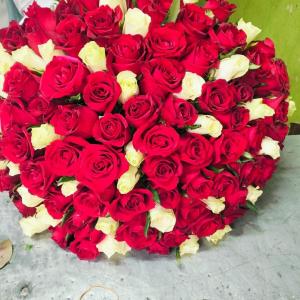 Luxe Rose Garden